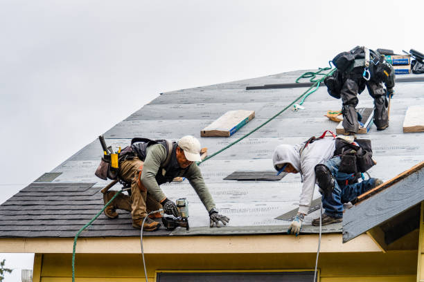 Professional Storm Damage Roof Repair technician working in Inkster, MI